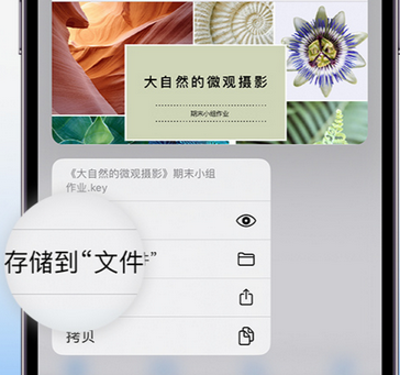 江西apple维修中心分享iPhone文件应用中存储和找到下载文件