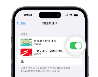 江西apple维修点分享iPhone上更换Apple Pay快捷交通卡手绘卡面 