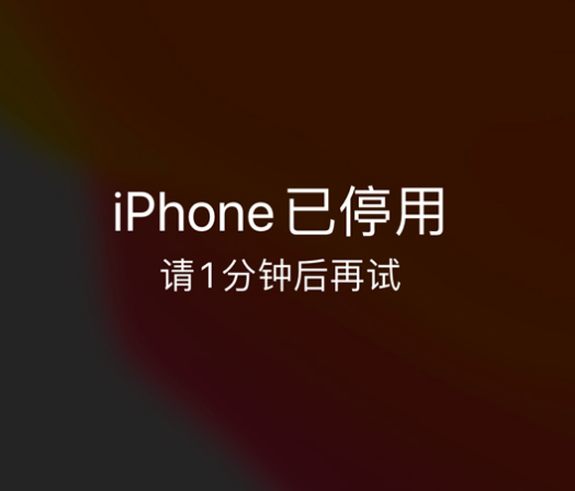 江西苹果手机维修分享:iPhone 显示“不可用”或“已停用”怎么办？还能保留数据吗？ 