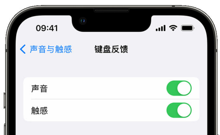 江西苹果手机维修分享iPhone 14触感键盘使用方法 