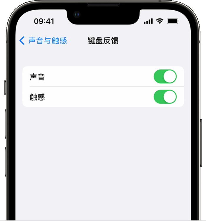 江西苹果14维修店分享如何在 iPhone 14 机型中使用触感键盘 