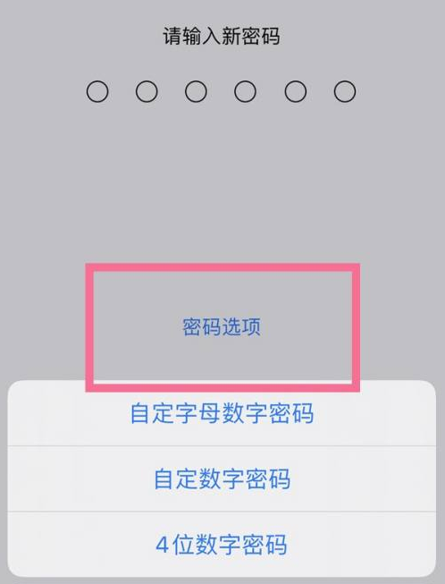 江西苹果14维修分享iPhone 14plus设置密码的方法 