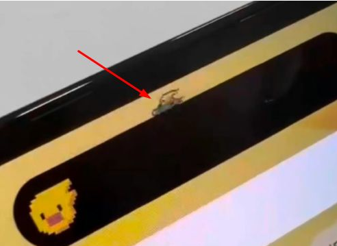 江西苹果14维修分享iPhone 14 Pro Max灵动岛怎么养宠物 