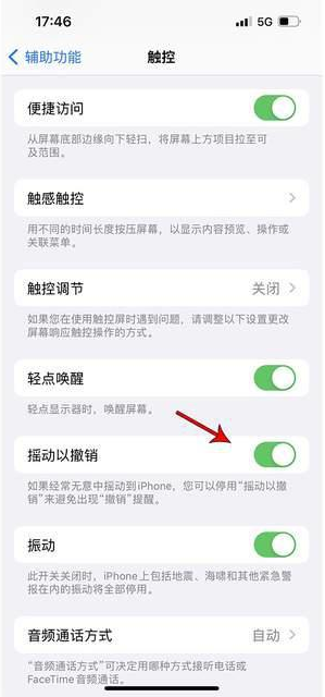 江西苹果手机维修分享iPhone手机如何设置摇一摇删除文字 